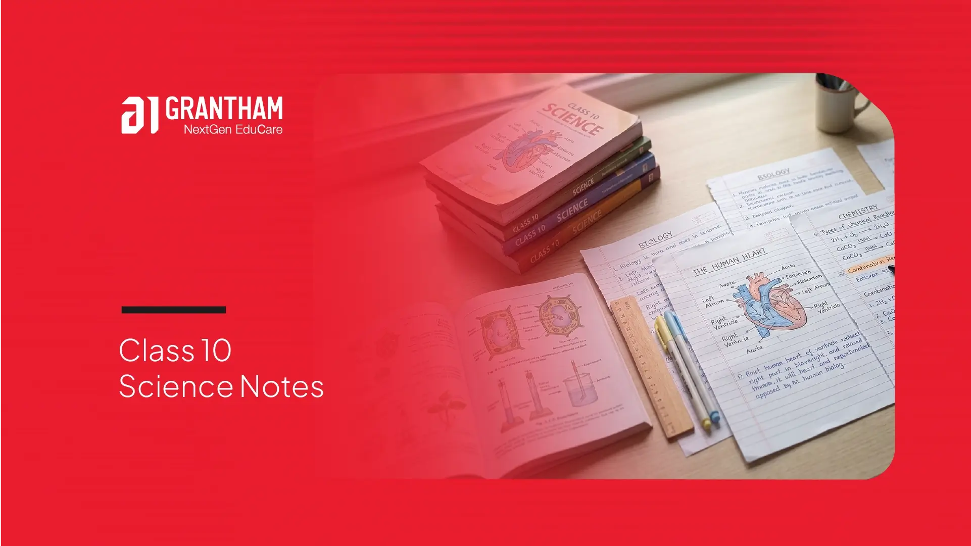 Class 10 Science Notes